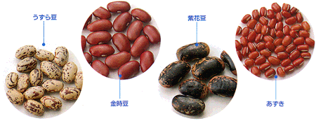 梅干しは一日何粒が適量？ 「三毒を断つ」と呼ばれたその殺菌力 体の酸性化対策にもHint-Pot