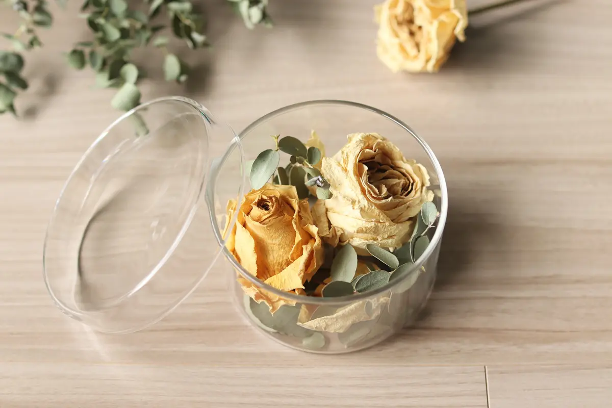 100均の花瓶大集合♡ダイソー・セリア・キャンドゥのおすすめ11選とアレンジ術紹介