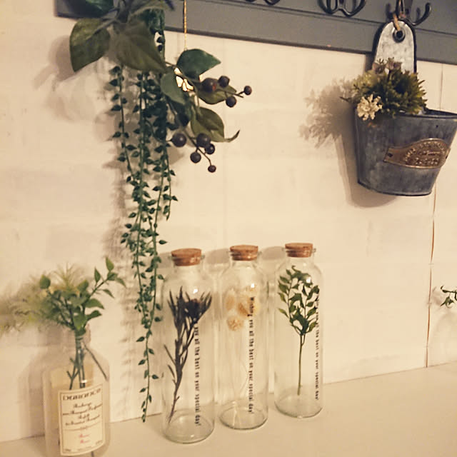 100均 ドライフラワー ダイソー シリカゲルTikTok