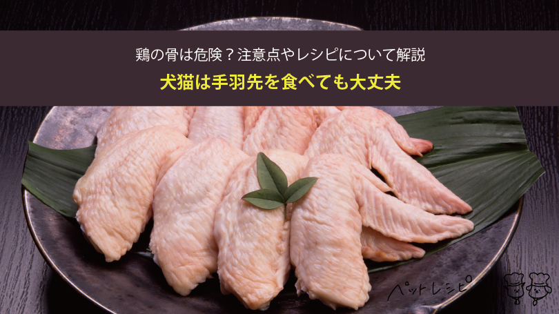 猫の手作りレシピ 鶏の旨味が詰まった初夏にぴったりな「そら豆と鶏肉のスープ」