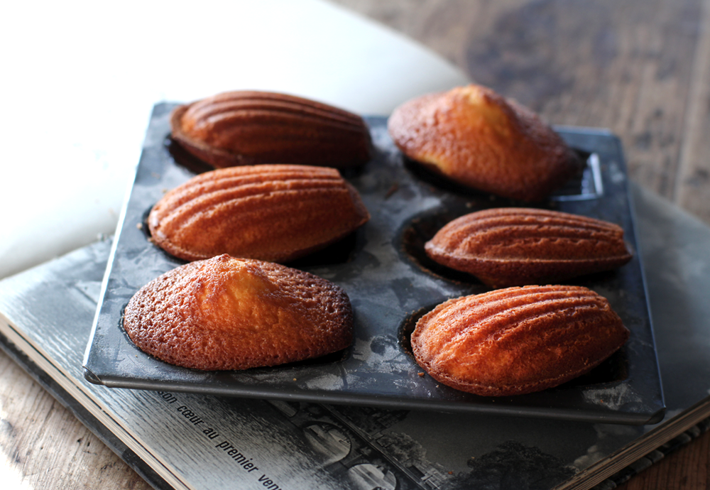 マドレーヌ プレーン・ココア