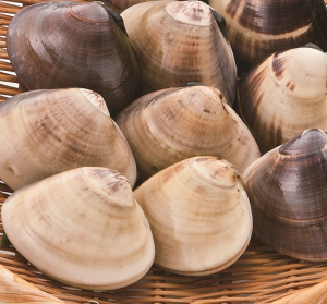 冷凍はまぐりのお吸い物レシピ