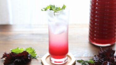 炊飯器で作る梅シロップCAINZ DIY Square