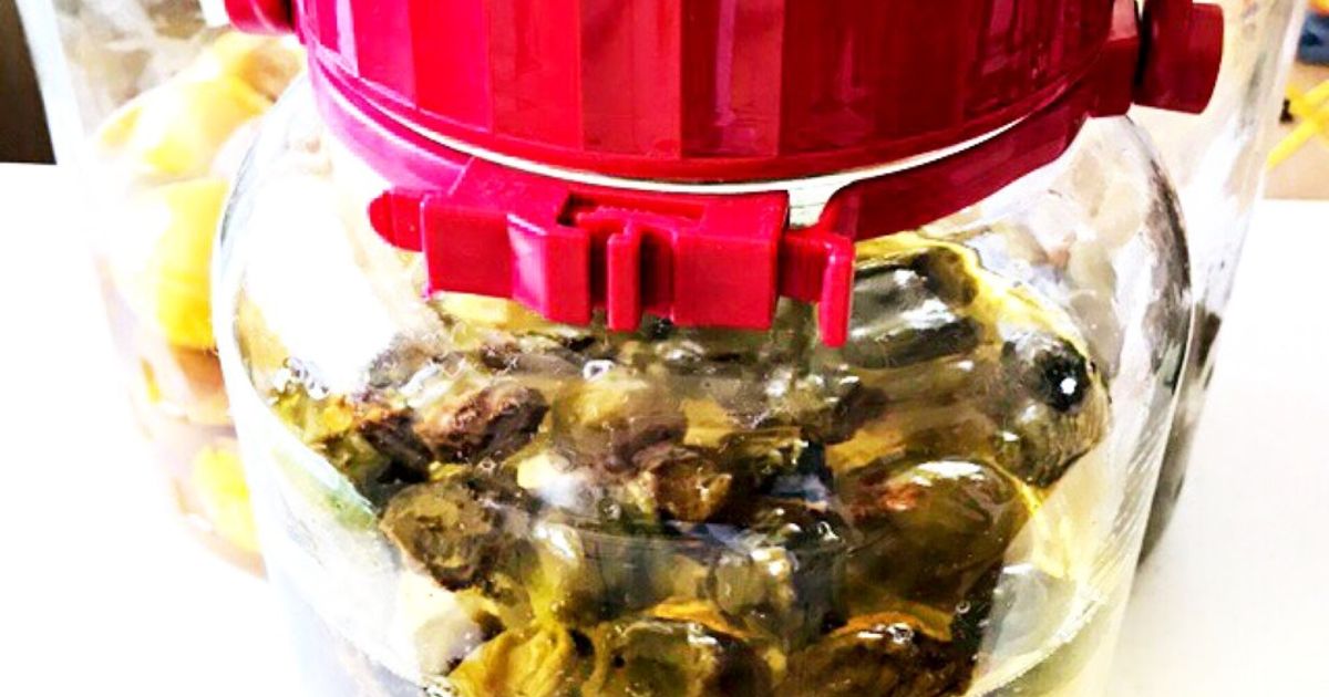 インスタグラムより「炊飯器で梅シロップ＆梅ジャム」社会福祉法人 育秀会