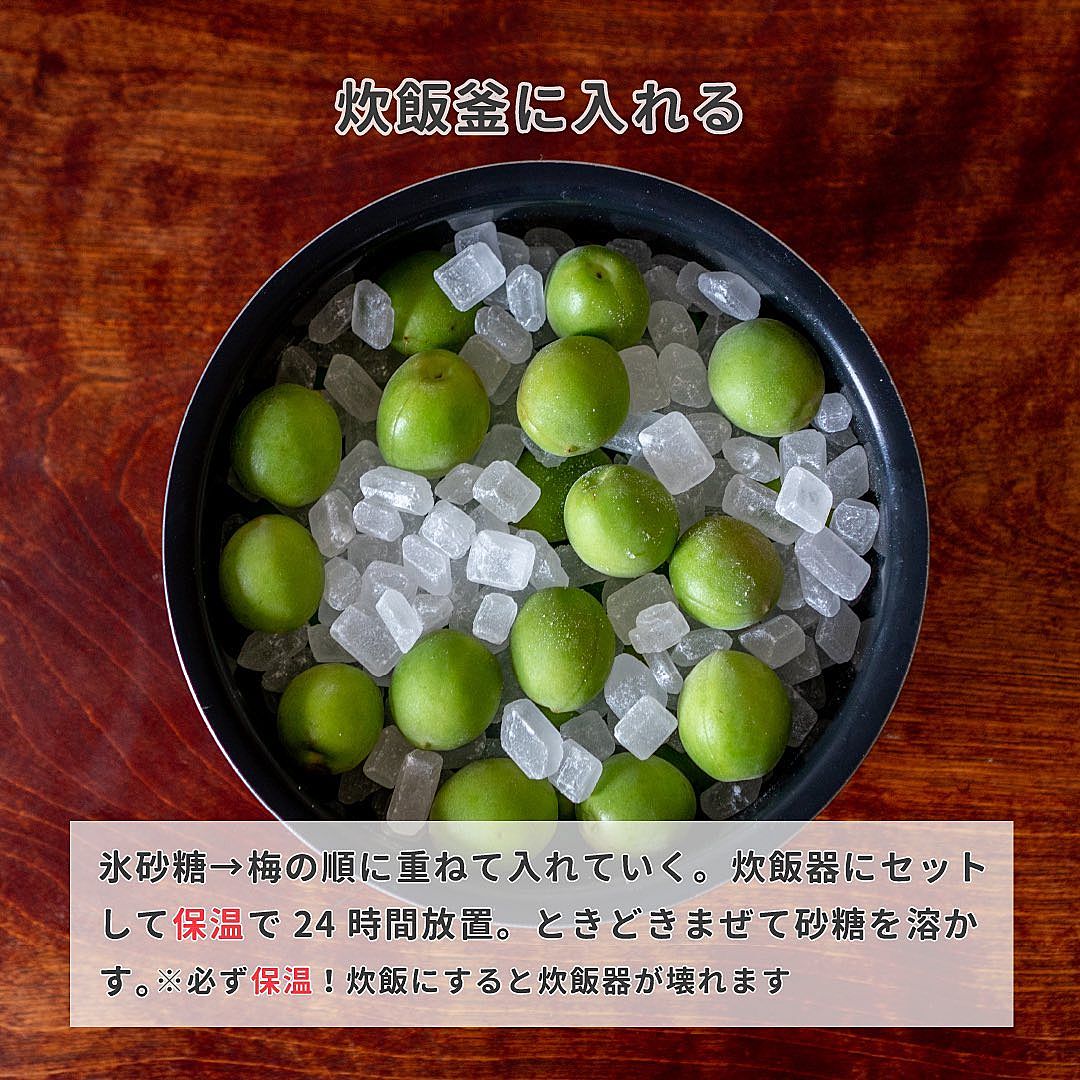 基本からアレンジまで！思わずつくりたくなる「炊飯器で梅シロップ」のレシピ集クックパッド