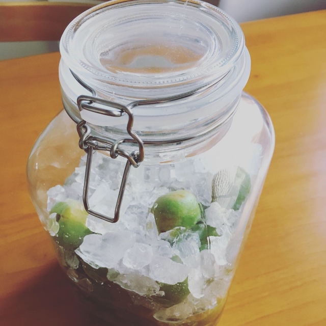 炊飯器で作る梅シロップの時短レシピと作り方Fumiteaブログ~紅茶とお菓子