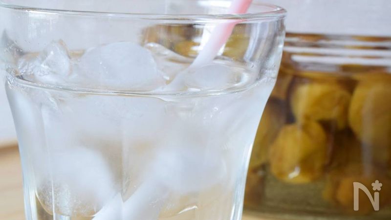 炊飯器で24時間！はちみつ入り梅シロップ