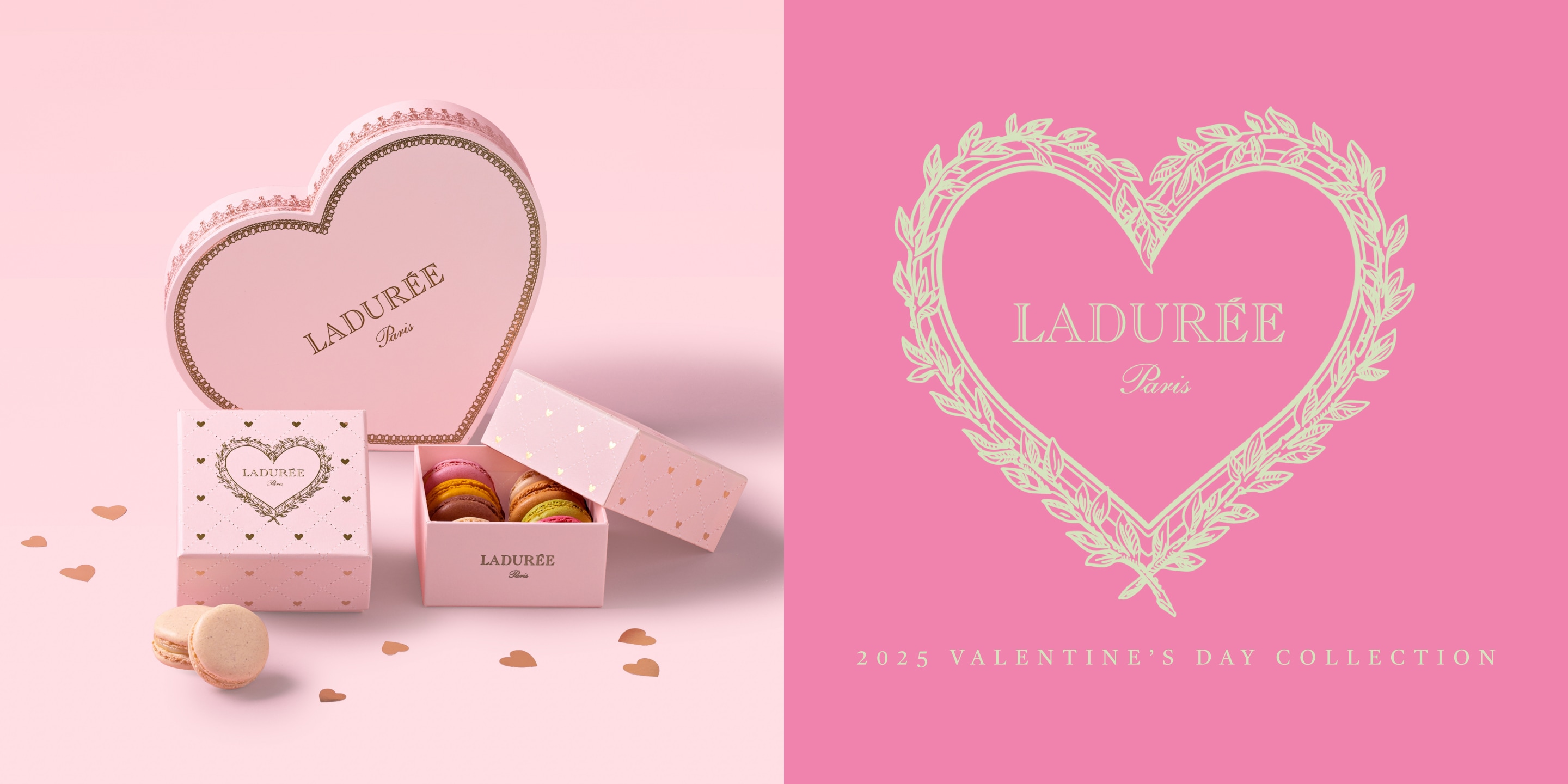 2025年秋限定 明石ギフトにもおすすめ！いろはのおとの秋スイーツ3選マカロン＆米粉フィナンシェ