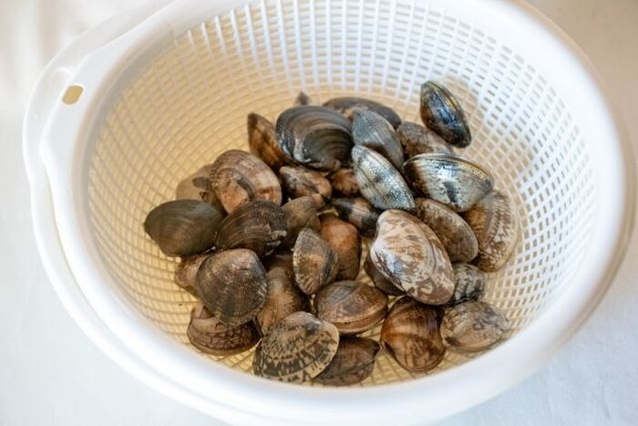 驚‼️あさり砂抜き15分とっても便利〜❗️ お試しください😋🤍 あさりの砂抜きあさりの砂抜き裏技あさりの砂抜きは 50度洗い時短裏技クイーンクックのある生活クイーンクックレシピクイーンクックごはん12ヶ月の食卓樽搾り醤油クイーン