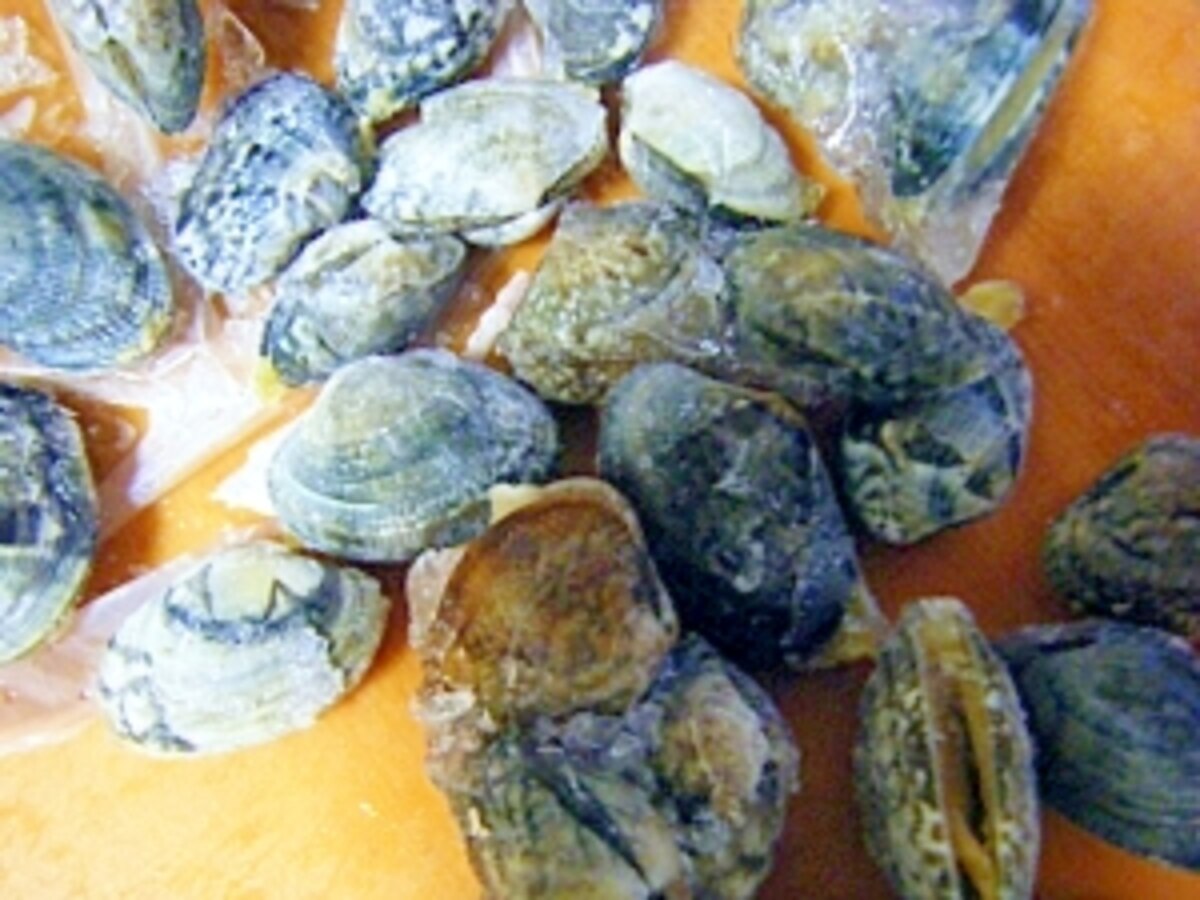 あさりの砂抜き砂出しの方法 失敗の原因・時間・保存