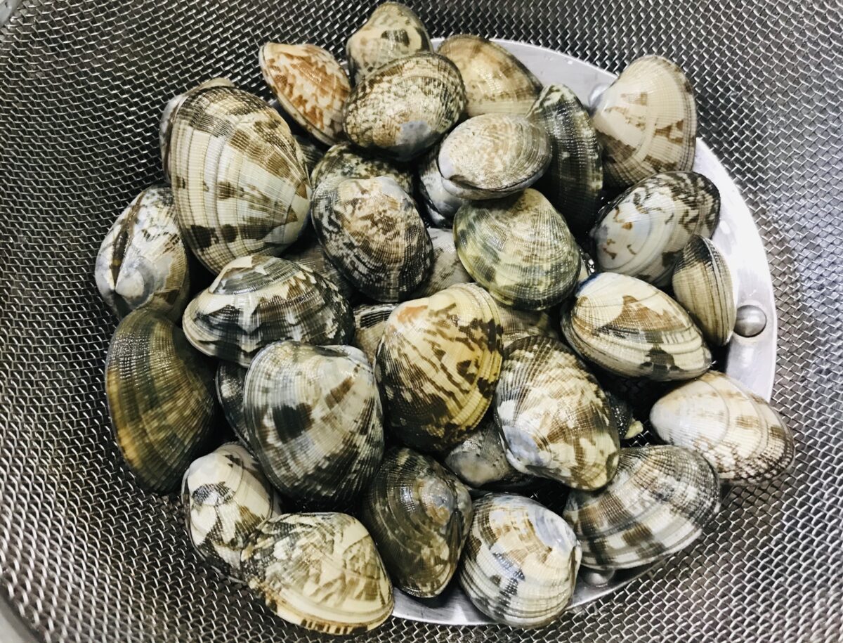 あさりの砂抜きを50度のお湯でやってみたら 失敗？死んでる