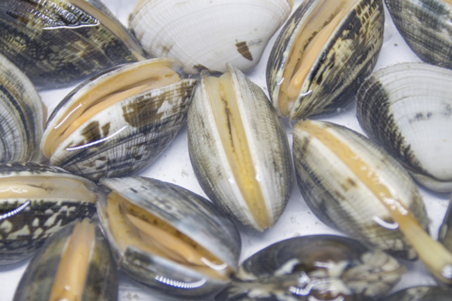 超時短⭐あさりの砂抜き ヒートショック法