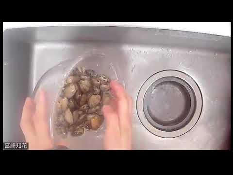 塩水＆50度 あさりの砂出し方法