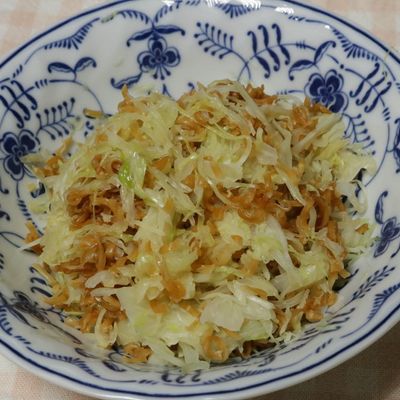 保育園の給食レシピ ほぼキャベツ！ふんわり優しい「キャベツのメンチ」作ろう♪野菜嫌いの子供も大喜び2024年9月6日- エキサイトニュース