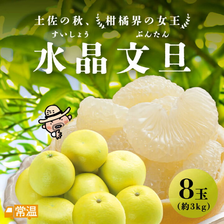 葡萄 ぶどう2024年７月の運勢 - 2024年７月の運勢 - 水晶玉子先生のフルーツ・フォーチュン 月運SPUR