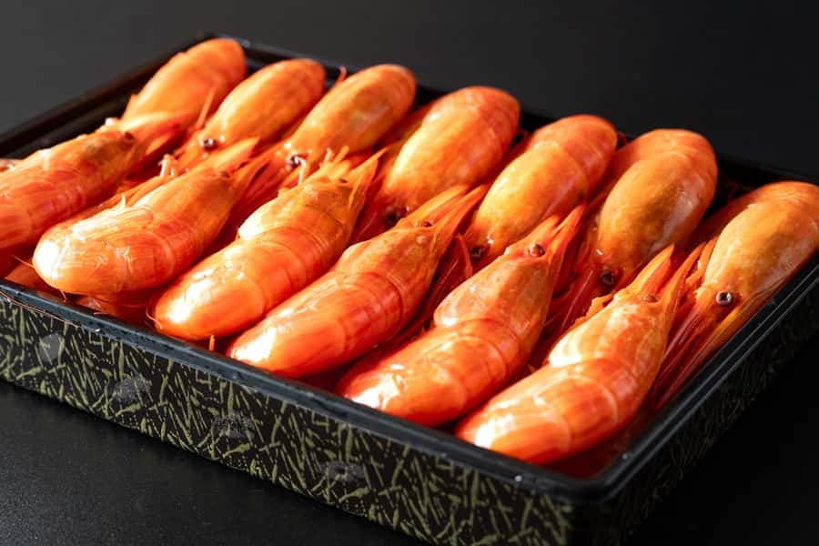 函館直送！北海道産お刺身用天然「活」日本海シマエビ海鮮通販の北釧水産