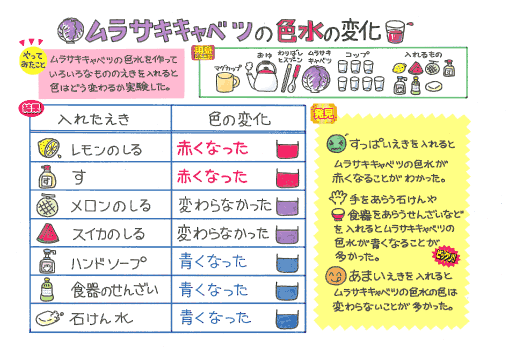 紫キャベツを茹でたら青くなるのはなぜ？うどんやラーメンを作ってみたら驚きの結果に？！株式会社 旭物産