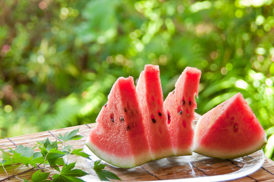 珍しいスイカ希少で美味しい人気のスイカお取り寄せの通販おすすめランキングベストオイシ