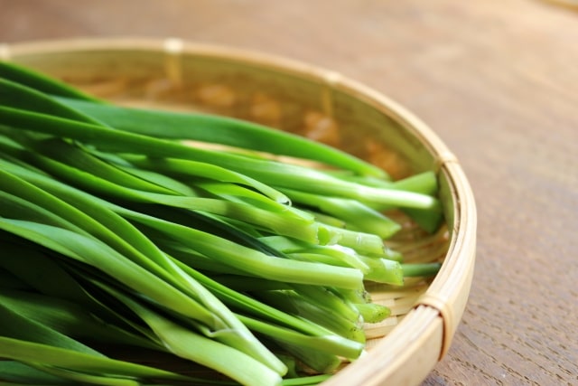 お肉にも野菜にも！何でも合うにらソース