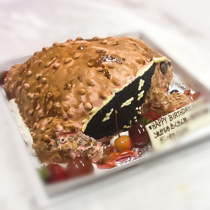 ２０２０かえるフェアー始まりました。愛を召し上がれポーズカフェオフィシャルブログ