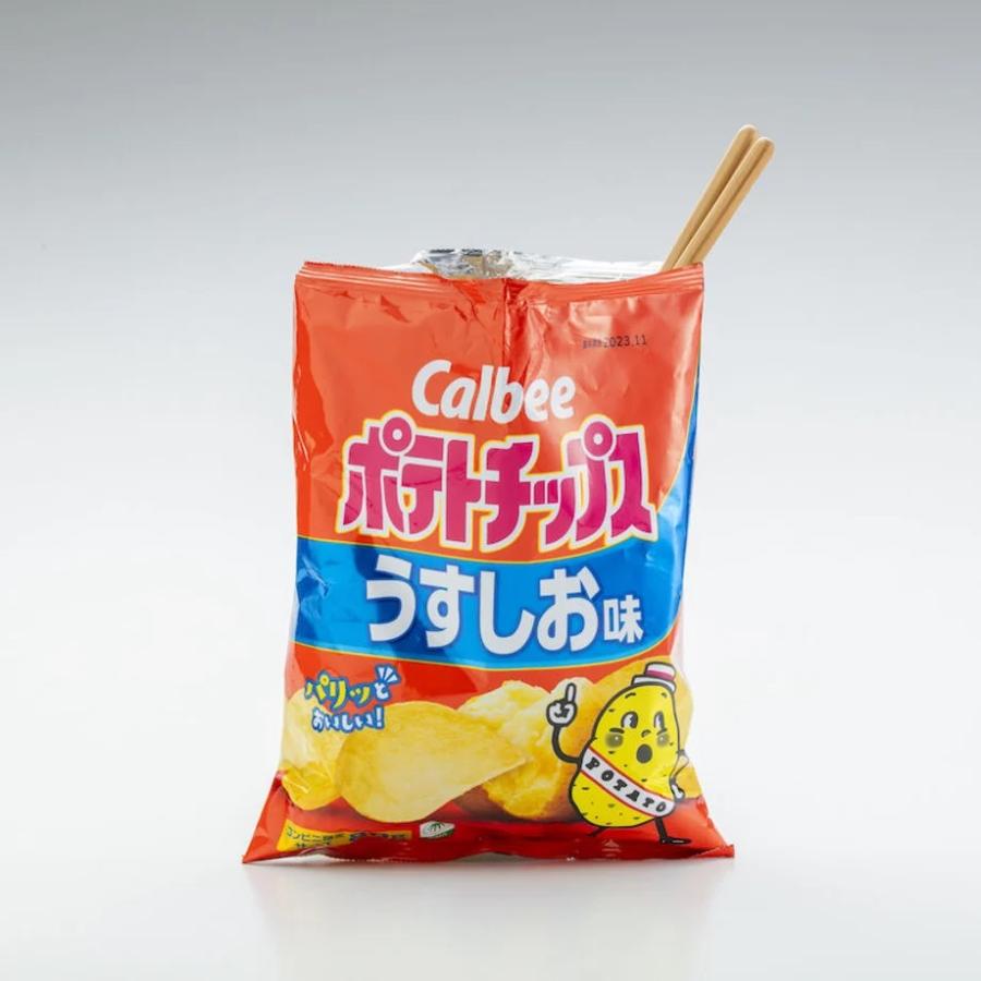 ポテトチップを箸で食べない懲りない面々へ - たつみそうきち