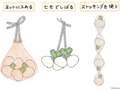 にんにく 乾燥方法植物の秘島
