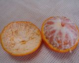 冬が旬のみかん 薄皮を缶詰のようにきれいに剥く2つのワザ - ウェザーニュース