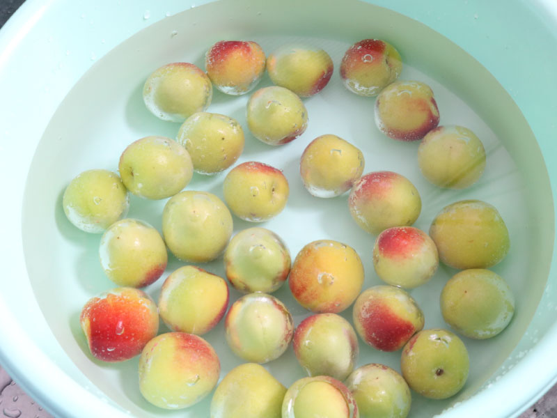 甘い梅干しの作り方とカビない方法！ 重石なし！ジップロックでできちゃう？簡単な漬け方 絵本ラボ