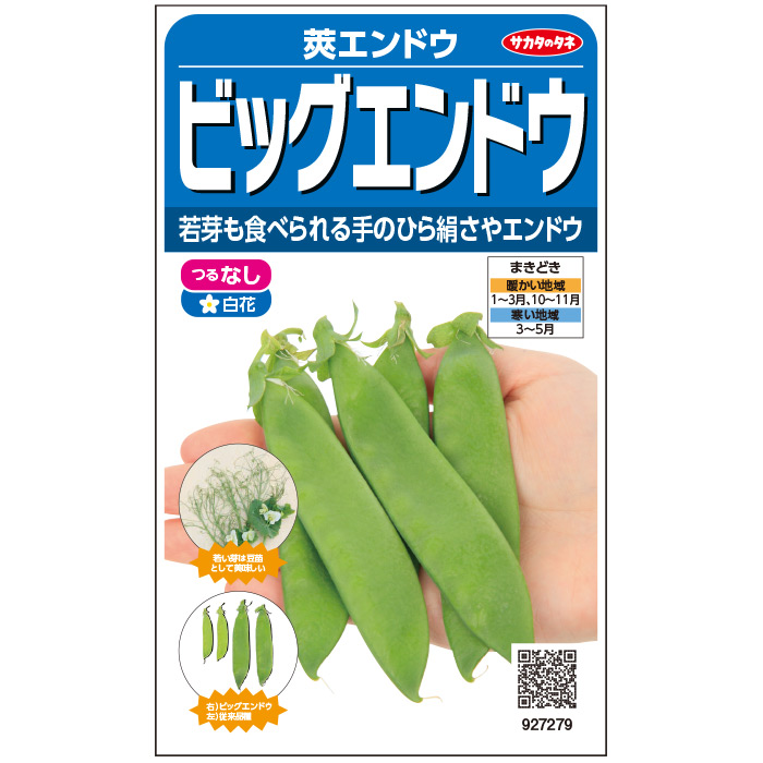エンドウ えんどう豆 の育て方と栽培のコツやまむファーム