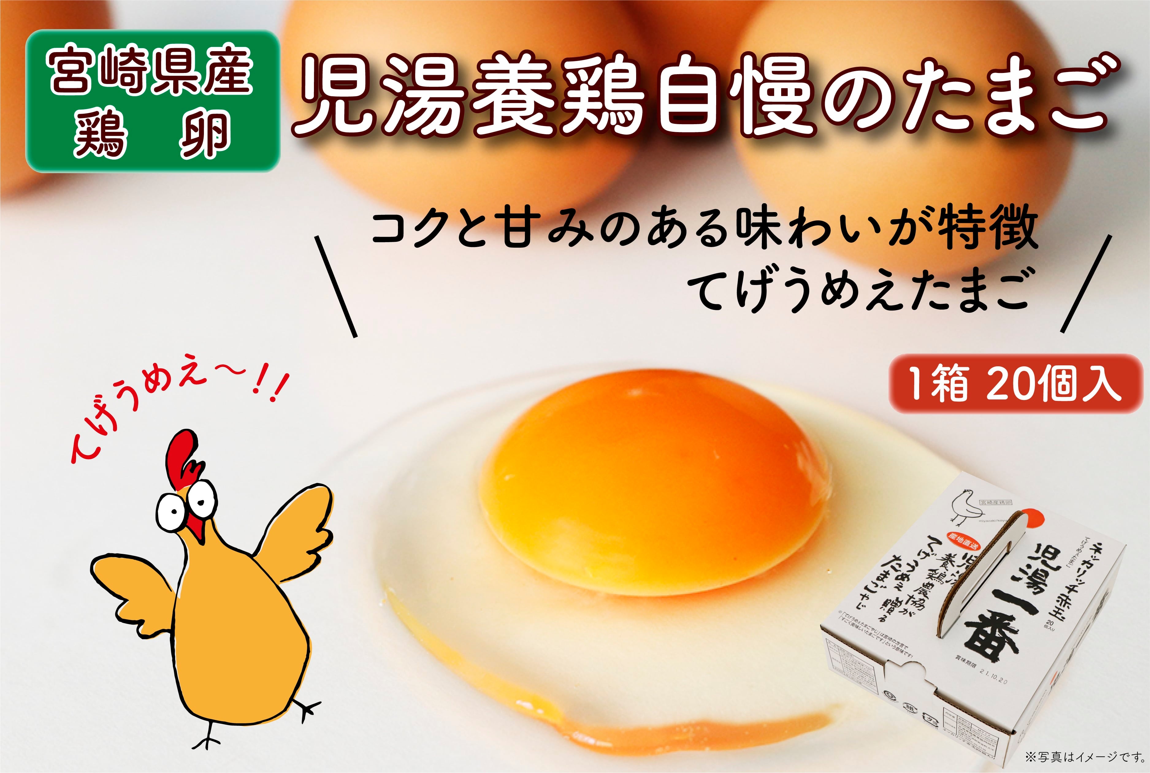 卵が先か鶏が先か」の意味や由来・使い方は？進化論ではどっち？ – スッキリ