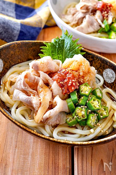 富山県☆氷見うどんの豚肉かけうどん☆温かいうどん