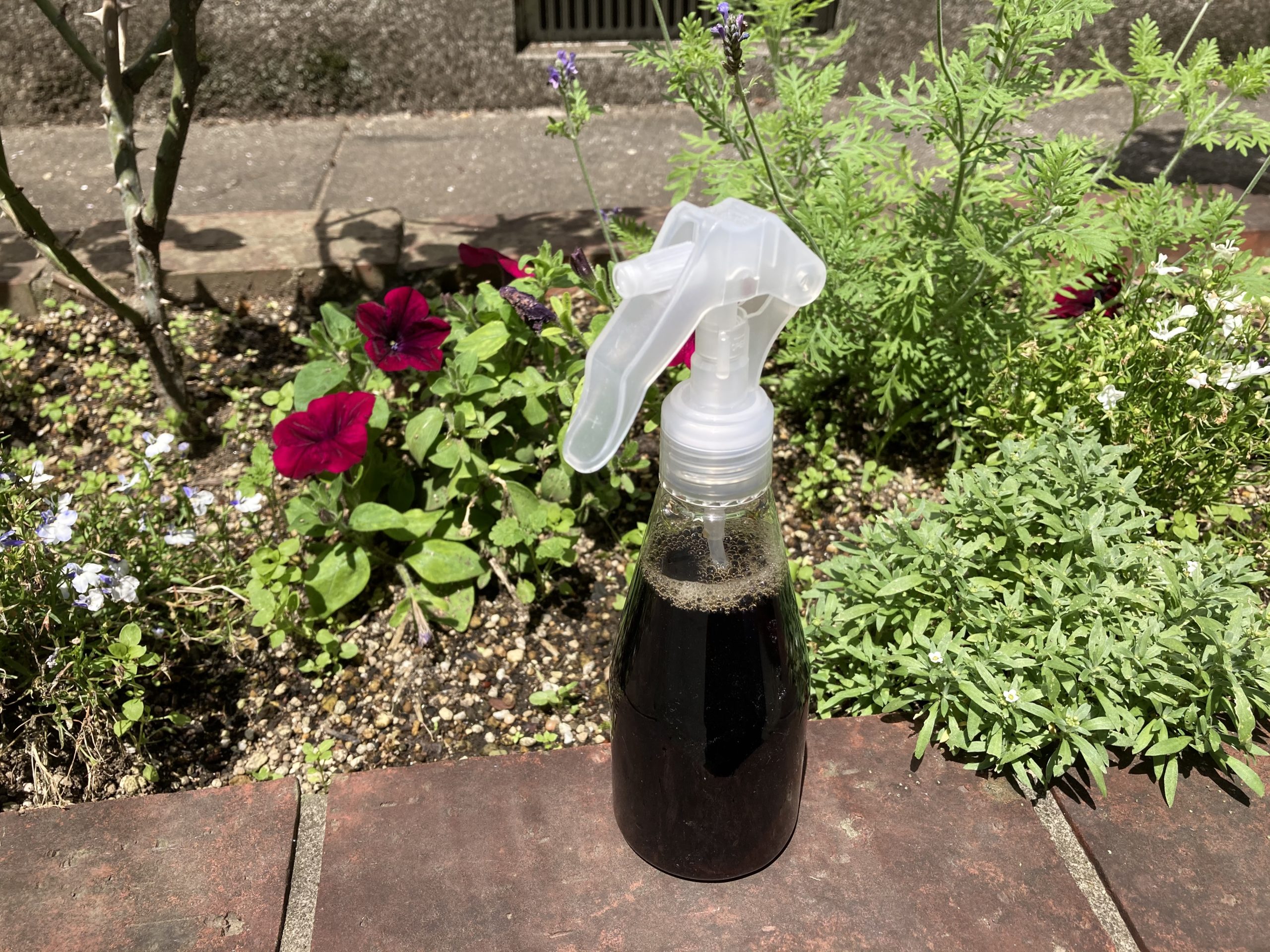 ベトナムコーヒー インスタント コーヒー 2点セット 塩コーヒー、カフェラテベトナムコーヒーの通販なら日本全国配送可能のVJSTOREにおまかせ