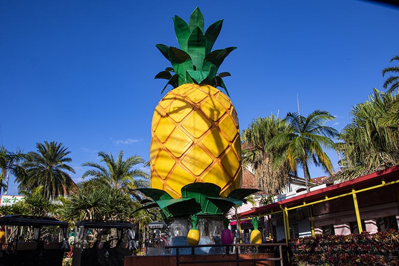 NIPPON PREMIUM 沖縄県産パイナップルチューハイ・カクテルオエノングループ