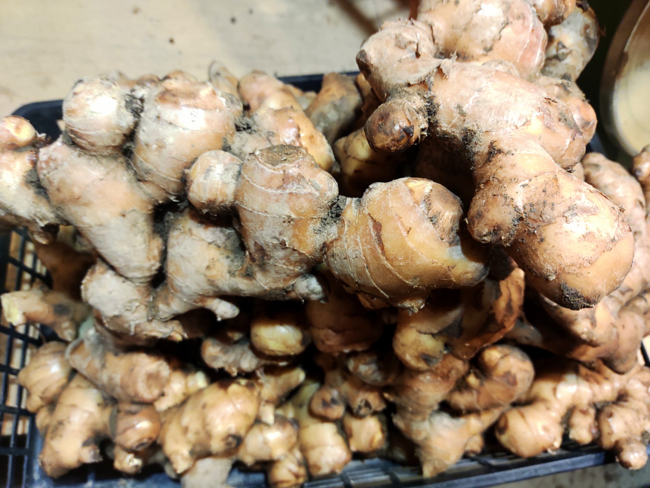 生姜の保存方法 長持ちさせるなら「冷凍」がおすすめ！おいしく食べきるコツを管理栄養士が解説！ - トクバイニュース