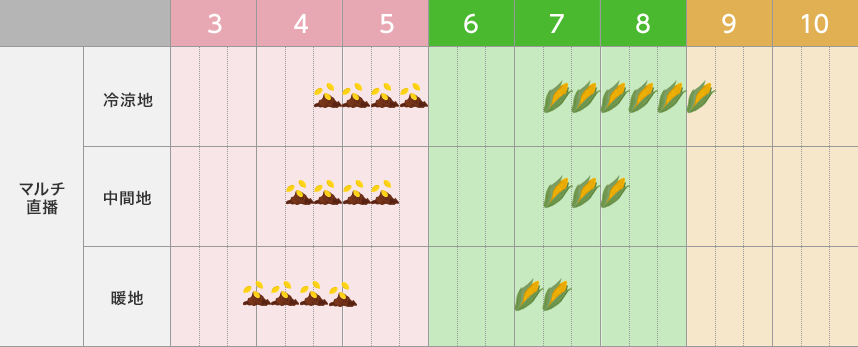 種まきの準備をしよう スイートコーンの生育と栽培歴青空トマト学園