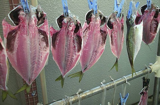 干物の美味しい食べ方保存方法や焼き方、アレンジレシピも紹介かまぼこのある暮らし