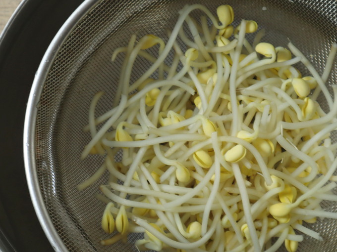大豆もやしの下処理・茹で方 –Organic Recipeオーガニックレシピ