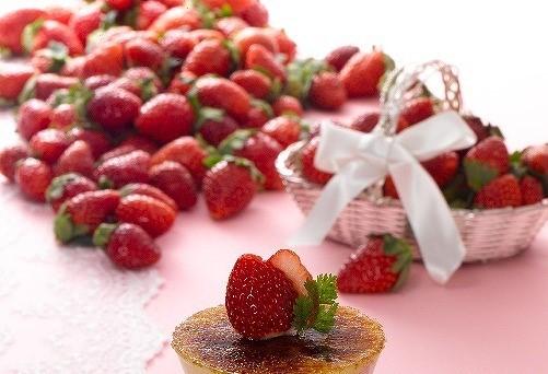 2023最新 大人気ファミレス ココスで贅沢いちごパフェなど「ストロベリー&チョコレートフェア」を開催！ - OZmall