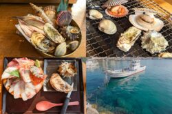 浜焼き白浜家 牡蠣小屋・海鮮丼 バーベキュー糸島市の口コミ6件 - トリップアドバイザ