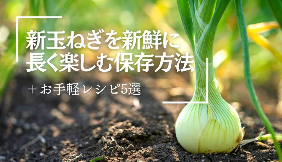 玉ねぎを上手に保存！常温・冷蔵のコツ＆冷凍の時短レシピLidea リディアby LION