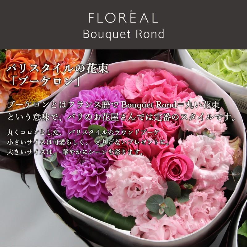 Stupell Industries ピンクのバラの花束 フランス語の言葉 ファンシーなスクリプトの背景、文字