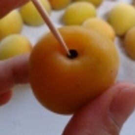 家庭で簡単にできる昔ながらの酸っぱい梅干しの作り方 失敗しないポイントも紹介！梅ボーイズのうめしごと