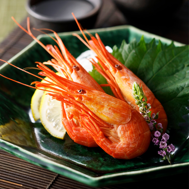 根室産 北海 しまえび チルド冷凍ボイル約45尾 500g 数量限定 産地直送 北海道 道産 シマエビ