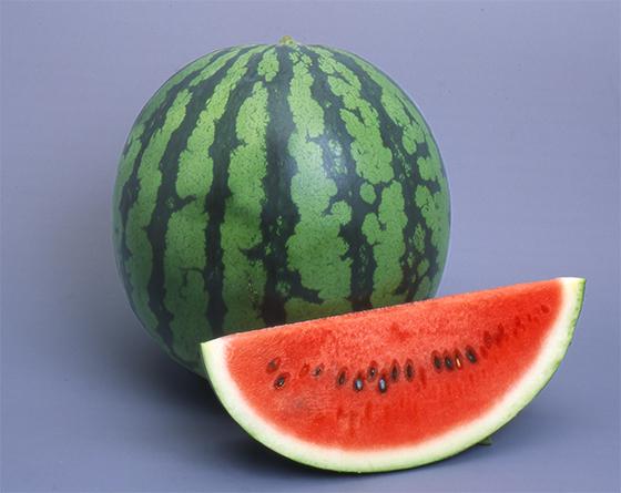 BF164 令和7年度出荷分 秋季出荷！大玉スイカ～羅皇 ラオウ ～ Lサイズ6kg以上×2玉入先行予約 数量限定 すいか スイカ 西瓜 フルーツ果物 長崎 長崎県 島原市 JALふるさと納税サイト