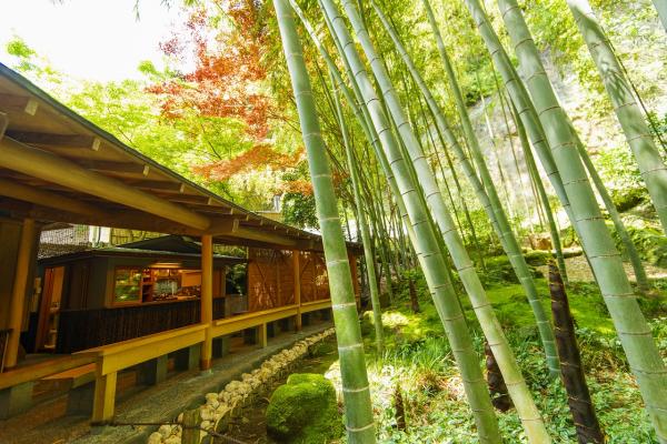 報国寺の休耕庵で抹茶をいただき、竹林を見ながら癒やされてきた鎌倉の寺院と札所巡り by鎌倉PRESS