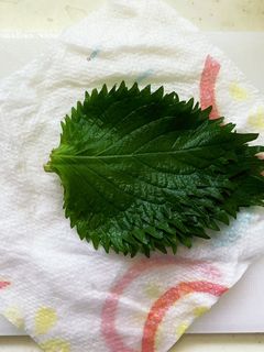 しその実 穂紫蘇 の保存方法と保存食！おすすめは冷凍。乾燥もOK。やまでら くみこ のレシピ