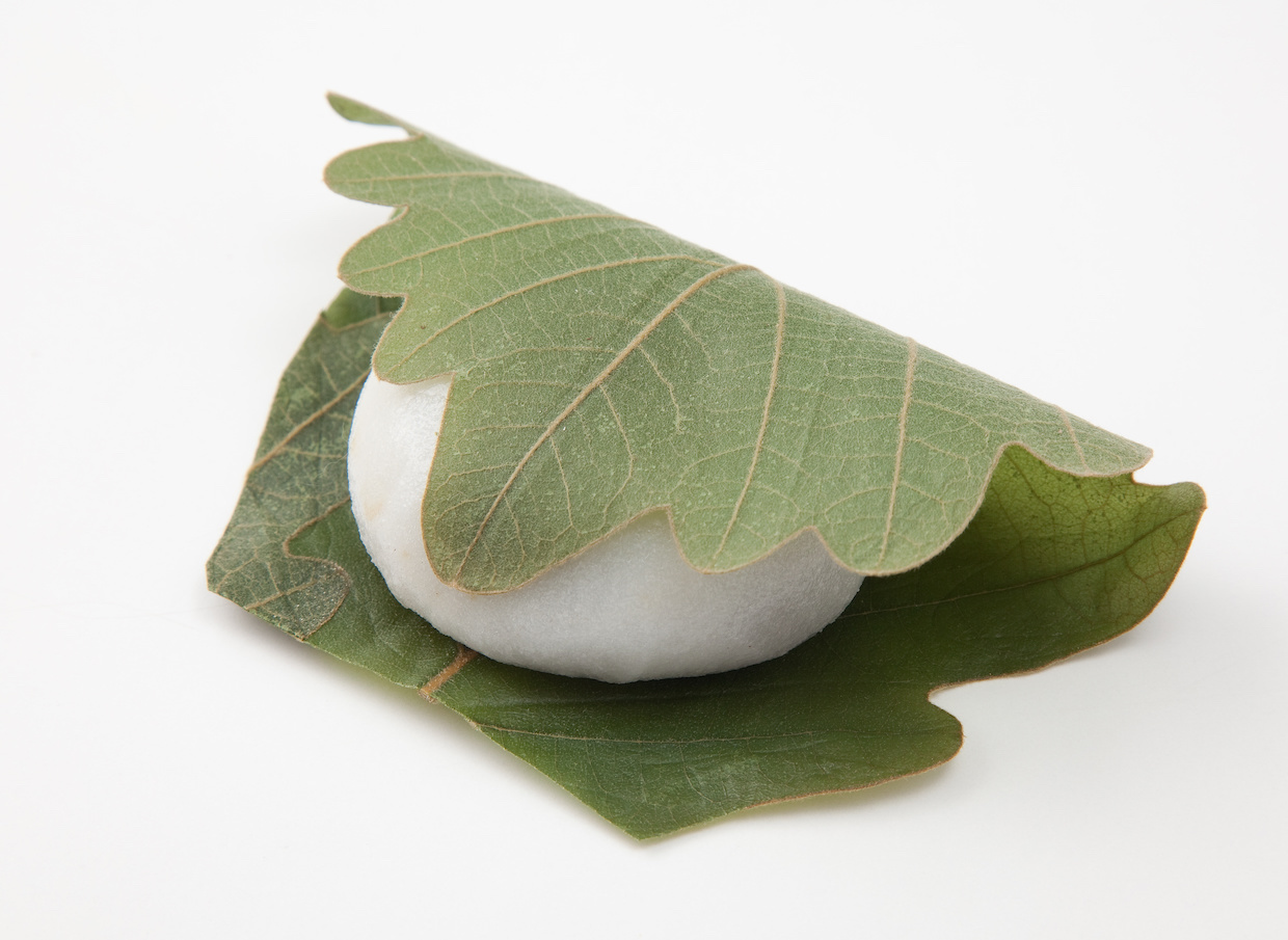 桜餅の葉は食べられる？桜の葉が使われている理由や特徴を徹底解説お菓子・パン材料・ラッピングの通販 cotta＊コッタ
