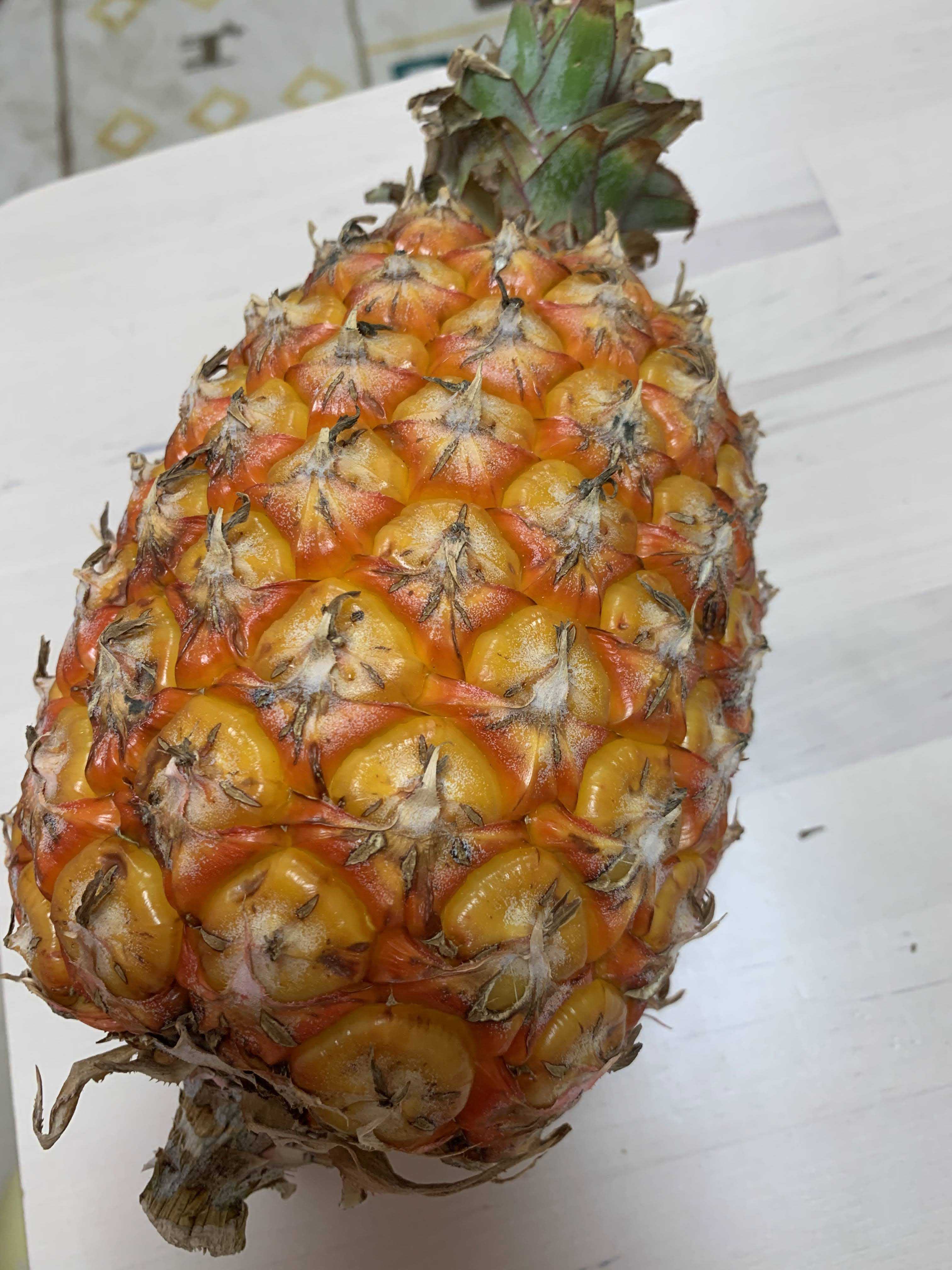 京氷菓 つらら京都 かき氷 スイーツ カフェ台湾パイナップル🇹🇼の新作！ 4月16日 水 スタート▶️▶️ キャラパインNYキャラメルにパイン 絶対やんね。これ。 NY気になりますよね？ N→ナッツ Y→ヨーグルト 一世を風靡した ？？ ファッションブランドを意識