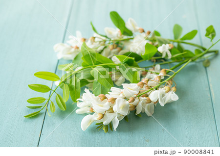 アカシアの天ぷら 写真素材3756221- フォトライブラリ