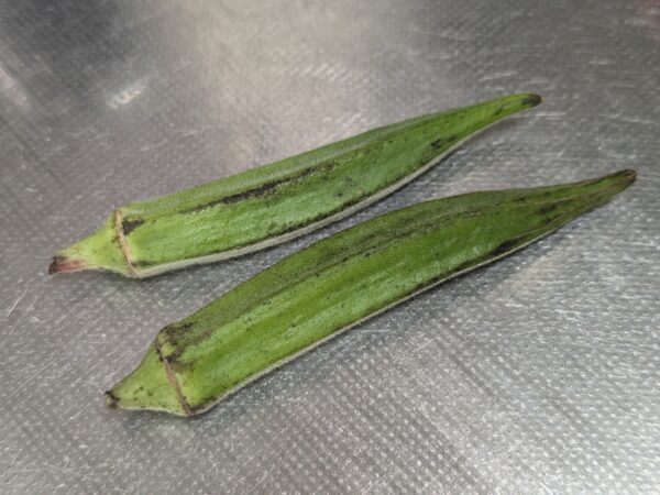 症状からわかるオクラの病気農業・ガーデニング・園芸・家庭菜園マガジン AGRI PICK